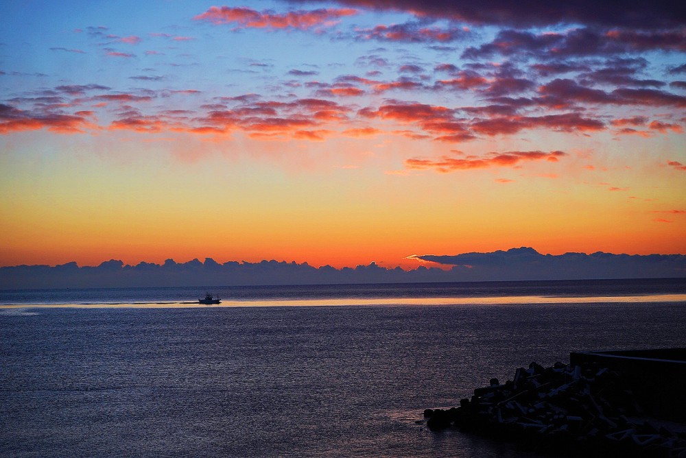 浜大樹に「日の出」を見に行ってきました。 / Visit!「タイキ