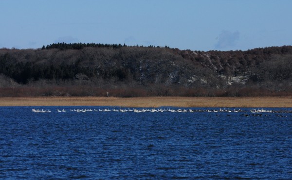 【2025年最新】オイカマナイトー結氷状況