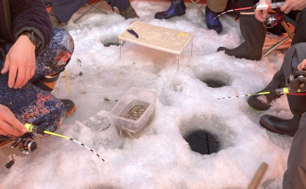 【1/10】ホロカヤントーワカサギ釣り解禁のお知らせ